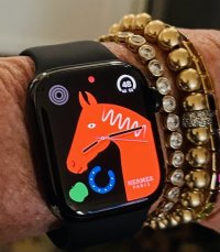 Hernes Apple Watch.jpg