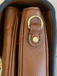 IMG_0818.jpeg