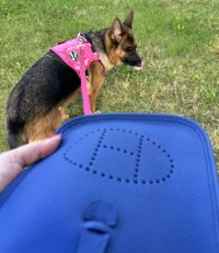 IMG_1971.jpeg