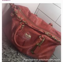 F773C738-2E6A-4E8D-BECF-B25F3FC46A09.jpeg