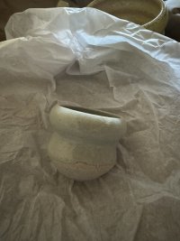 IMG_3384.jpeg