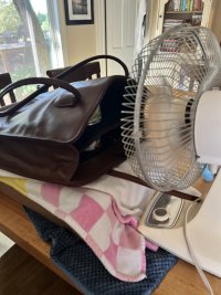 IMG_7850.jpeg