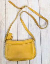 Yellow Wendie Front.jpg