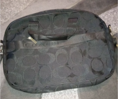 dragons9 fake coach $5500 obo back.png