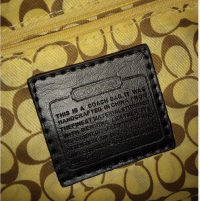 dragons9 fake coach $5500 obo creed.png