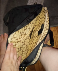 dragons9 fake coach $5500 obo open.png