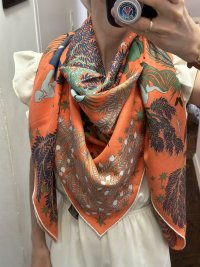 IMG_6091.jpeg