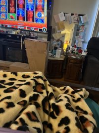 IMG_9205.jpeg