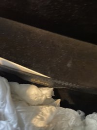 IMG_3856.jpeg