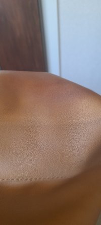 20240918_133412.jpg