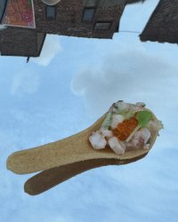 IMG_5776.jpeg