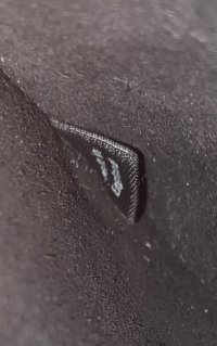 IMG_3882.jpeg
