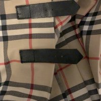 IMG_6471.jpeg
