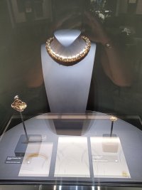 IMG_20240919_171824.jpg