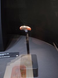 IMG_20240919_171956.jpg