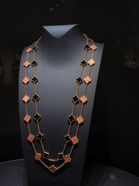 IMG_20240919_172010.jpg