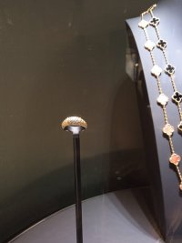 IMG_20240919_172016_1.jpg