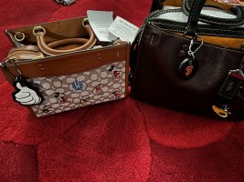 IMG_0818.jpeg