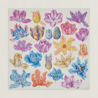 Tulipomanie (02).jpeg