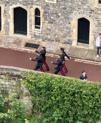IMG_4448.jpeg
