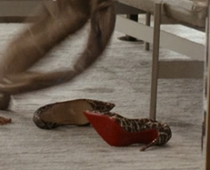 img4.png