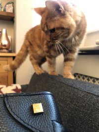 IMG_9990.jpeg