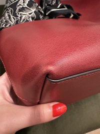 IMG_1554.jpeg