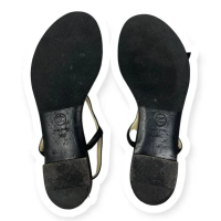 sole.png