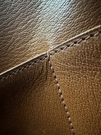 IMG_2256.jpeg