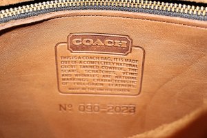 IMG_8281.jpg