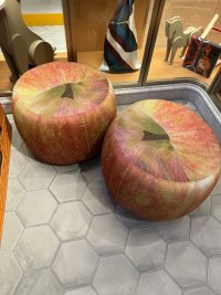 IMG_0179.JPEG