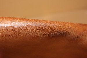 IMG_8303.jpg