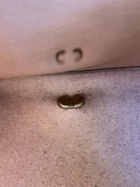 IMG_1445 Large.jpeg