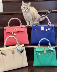 IMG_3127.jpeg