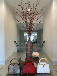 IMG_0254.jpeg
