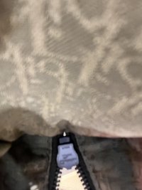 IMG_8518.jpeg