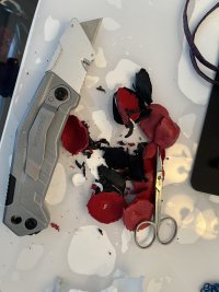 IMG_3952.jpeg