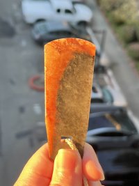 IMG_7422.jpg