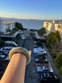 IMG_7366.jpg