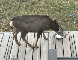 IMG_4897.jpeg