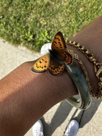 IMG_3871.jpeg