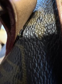 IMG_7119.jpeg