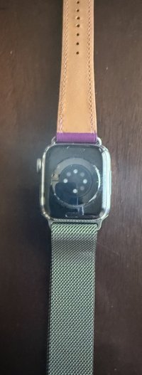 IMG_2613.jpeg