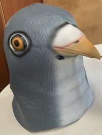 IMG_2533.jpeg