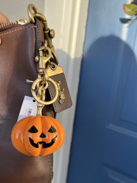 IMG_8703.jpeg