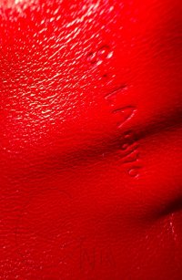 IMG_7617.jpeg