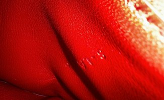 IMG_7611.jpeg