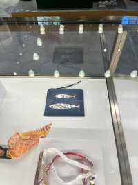 IMG_3171.jpeg