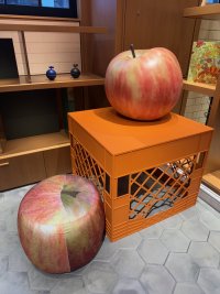 IMG_3042.jpg
