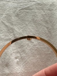 IMG_2981.jpeg